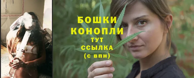 Шишки марихуана THC 21%  Дальнегорск 